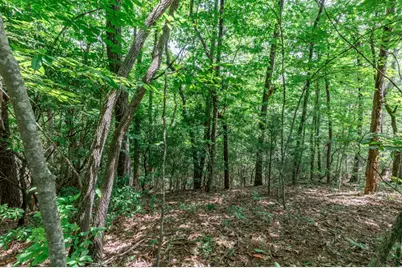 Lot 56 Indian Rock Springs, Murphy, NC 28906 - Photo 18
