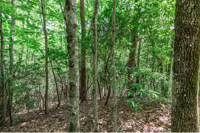 Lot 56 Indian Rock Springs, Murphy, NC 28906 - Photo 16