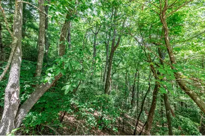 Lot 56 Indian Rock Springs, Murphy, NC 28906 - Photo 8