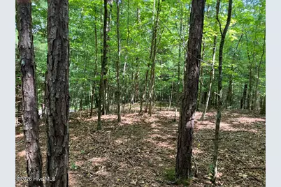 11 Green Cove Circle, Murphy, NC 28906 - Photo 2