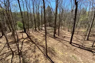 28 Copper Fox Cor, Murphy, NC 28906 - Photo 8