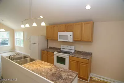 462 Snow Hill Street, Ayden, NC 28513 - Photo 4