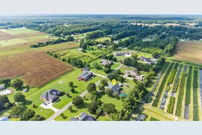 5516 Ashlyn Drive, Castle Hayne, NC 28429 - Photo 44