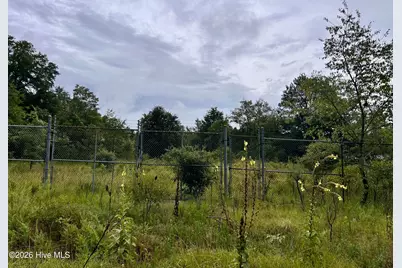 0 Carolina 381, Hamlet, NC 28345 - Photo 2