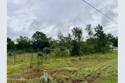0 Carolina 381, Hamlet, NC 28345 - Photo 6