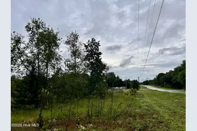0 Carolina 381, Hamlet, NC 28345 - Photo 4