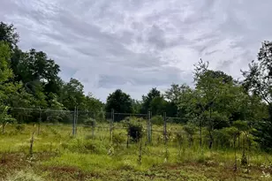0 Carolina 381, Hamlet, NC 28345 - Photo 1