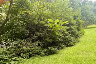 913 Franks Creek Rd, Robbinsville, NC 28771 - Photo 30
