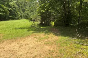 913 Franks Creek Rd, Robbinsville, NC 28771 - Photo 28