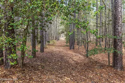 215 Cameron Camp Road, Cameron, NC 28326 - Photo 66