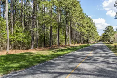 215 Cameron Camp Road, Cameron, NC 28326 - Photo 4