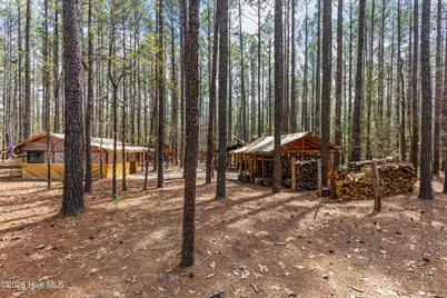 215 Cameron Camp Road, Cameron, NC 28326 - Photo 64
