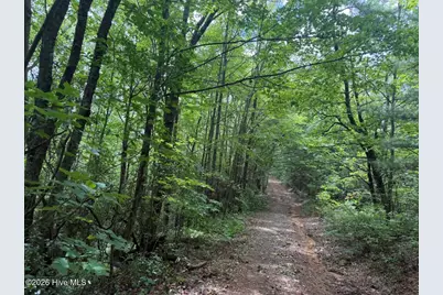760 Cliff Top Trail, Andrews, NC 28901 - Photo 6