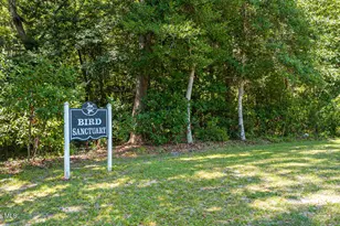 439 Whitebridge Rd, Hampstead, NC 28443 - Photo 86