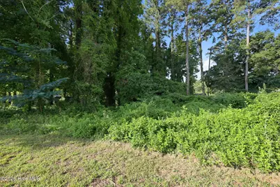 195 S Creek Drive, Jacksonville, NC 28540 - Photo 8