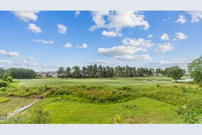 2359 Weeping Birch Road NE, Leland, NC 28451 - Photo 60