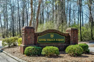 143 Firethorn Cir, Wallace, NC 28466 - Photo 20