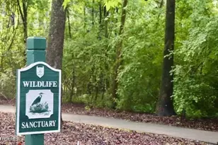 143 Firethorn Cir, Wallace, NC 28466 - Photo 26
