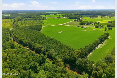 1175 Laurie Ellis Road, Winterville, NC 28590 - Photo 8