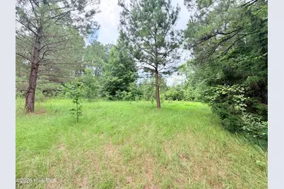 6 Grant Circle, Sneads Ferry, NC 28460 - Photo 4