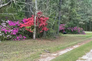 4897 Braxton Rd, Grifton, NC 28530 - Photo 20