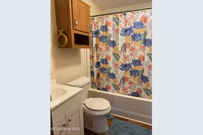 103 Yew Court, Hubert, NC 28539 - Photo 12