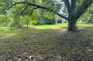201 N White St, Whitakers, NC 27891 - Photo 20
