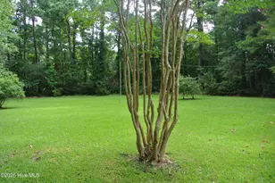 227 Pigott Rd, Gloucester, NC 28528 - Photo 22