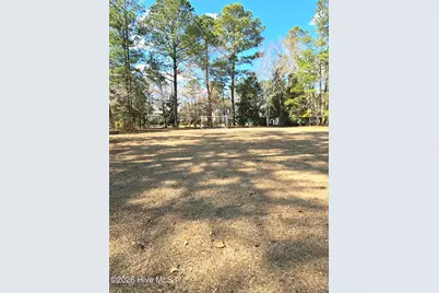 1308 Arbor Ridge Way, Leland, NC 28451 - Photo 14