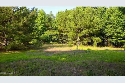 84 Jo62, Rockingham, NC 28379 - Photo 8