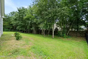 115 Bunchberry Ct, Hampstead, NC 28443 - Photo 46