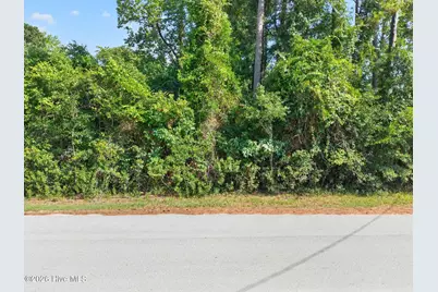 4456 Live Oak Street SW, Shallotte, NC 28470 - Photo 2