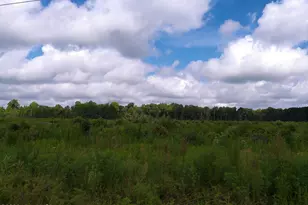 Tbd Haywood Smith Rd, Hertford, NC 27944 - Photo 1