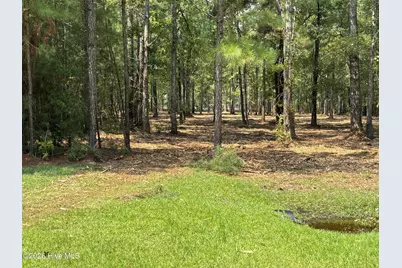Lot 52 Sunset Point Road, Belhaven, NC 27810 - Photo 10