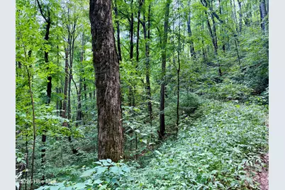 4181 Huffman Creek Road #32, Robbinsville, NC 28771 - Photo 40