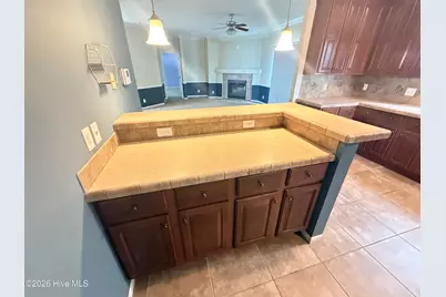 479 Ralph Dail Road, Mount Olive, NC 28365 - Photo 8