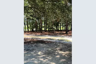 262 Mewborn Church Road, Snow Hill, NC 28580 - Photo 34