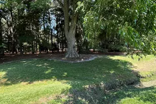 262 Mewborn Church Rd, Snow Hill, NC 28580 - Photo 30