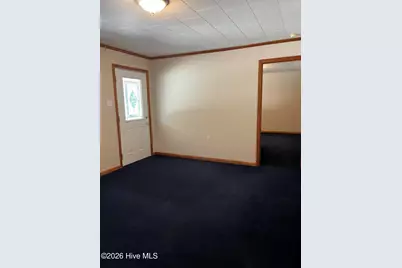 262 Mewborn Church Road, Snow Hill, NC 28580 - Photo 6