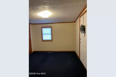 262 Mewborn Church Road, Snow Hill, NC 28580 - Photo 12