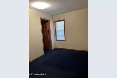 262 Mewborn Church Road, Snow Hill, NC 28580 - Photo 18