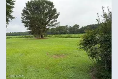 5615 Oakley Road, Robersonville, NC 27871 - Photo 2