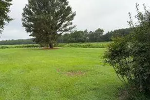 5615 Oakley Rd, Robersonville, NC 27871 - Photo 2