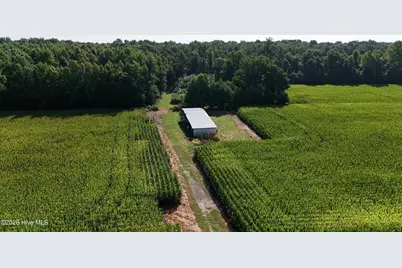 5200 Kershaw Road, Oriental, NC 28571 - Photo 16