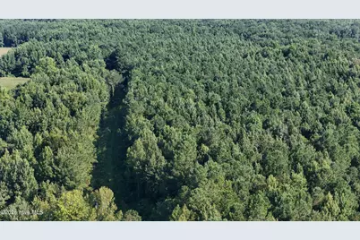 5200 Kershaw Road, Oriental, NC 28571 - Photo 60
