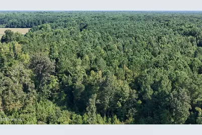 5200 Kershaw Road, Oriental, NC 28571 - Photo 14