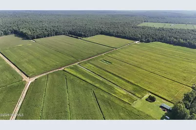 5200 Kershaw Road, Oriental, NC 28571 - Photo 10