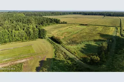 5200 Kershaw Road, Oriental, NC 28571 - Photo 64