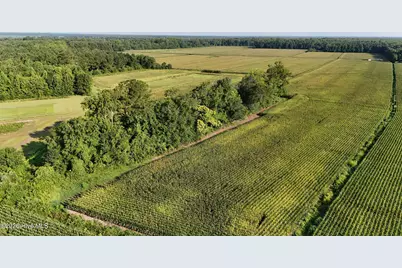5200 Kershaw Road, Oriental, NC 28571 - Photo 24