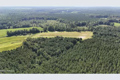 5200 Kershaw Road, Oriental, NC 28571 - Photo 52
